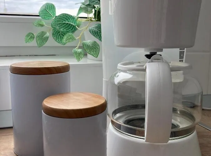 Zen In The Heart Of Apartamento Bucareste